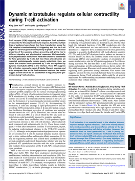 Dynamic Microtubules Regulate Cellular Contractility During T-Cell