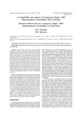 A Remarkable New Species of Leptogenys Roger, 1861 (Hymenoptera: Formicidae) from Vietnam Новый Необычный Вид L