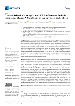 Genome-Wide SNP Analysis for Milk Performance Traits in Indigenous Sheep: a Case Study in the Egyptian Barki Sheep