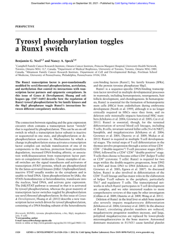 Tyrosyl Phosphorylation Toggles a Runx1 Switch