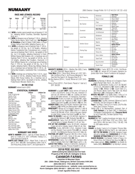 NUMAANY 2005 Chestnut - Dosage Profile: 10-11-27-4-0; DI: 1.97; CD: +0.52