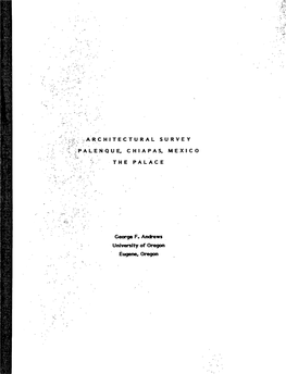 Architectural Survey Palenque, Chiapas, Mexico the Palce
