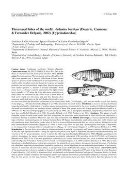 Aphanius Baeticus (Doadrio, Carmona & Ferna´Ndez Delgado, 2002) (Cyprinodontidae)