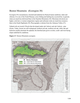 Boston Mountains (Ecoregion 38)