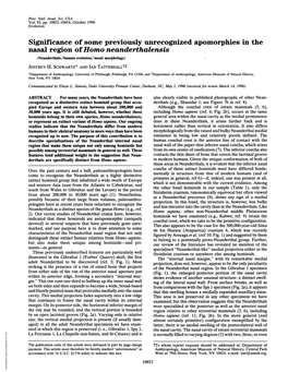 Significance of Some Previously Unrecognized Apomorphies in the Nasal Region Ofhomo Neanderthalensis (Neanderthals/Human Evolution/Nasal Morphology) JEFFREY H