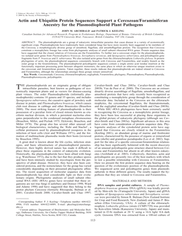 Actin and Ubiquitin Protein Sequences Support a Cercozoan/Foraminiferan Ancestry for the Plasmodiophorid Plant Pathogens