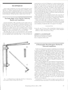 TECHNIQUES Along One Length with the Unattached Ends Directed Roughly 25 Degrees Away from Each Other