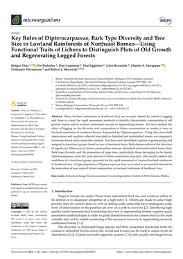 Key Roles of Dipterocarpaceae, Bark Type Diversity and Tree Size in Lowland Rainforests of Northeast Borneo—Using Functional T