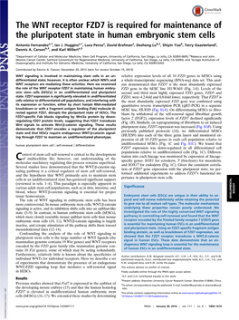 The WNT Receptor FZD7 Is Required for Maintenance of the Pluripotent State in Human Embryonic Stem Cells