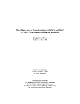 Altered Expression of Kinetochore Proteins (CENP-A and Mad2) to Explore Chromosome Instability and Aneuploidy