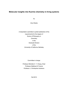 Weeks Thesis 20130726