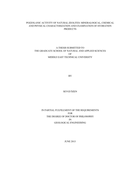 Pozzolanic Activity of Natural Zeolites: Mineralogical, Chemical and Physical Characterization and Examination of Hydration Products