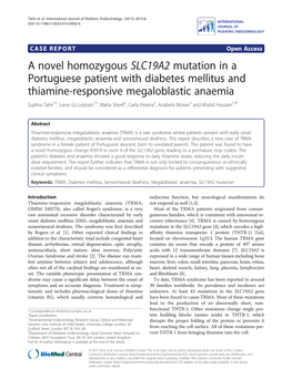 A Novel Homozygous SLC19A2 Mutation in a Portuguese Patient with Diabetes Mellitus and Thiamine-Responsive Megaloblastic Anaemia