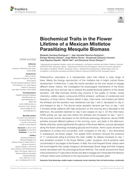 Biochemical Traits in the Flower Lifetime of a Mexican Mistletoe Parasitizing Mesquite Biomass