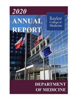 Annual Report 2020