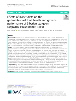 Effects of Insect Diets on the Gastrointestinal Tract Health And