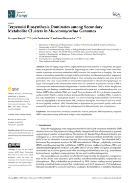 Terpenoid Biosynthesis Dominates Among Secondary Metabolite Clusters in Mucoromycotina Genomes