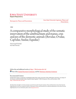 A Comparative Morphological Study of the Somatic Innervation of The