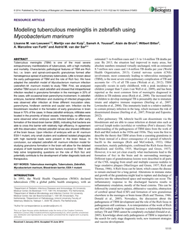 Modeling Tuberculous Meningitis in Zebrafish Using Mycobacterium Marinum Lisanne M
