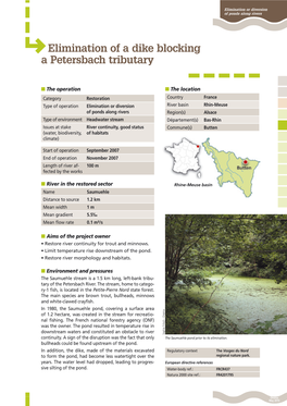 Elimination of a Dike Blocking a Petersbach Tributary