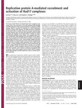 Replication Protein A-Mediated Recruitment and Activation of Rad17 Complexes