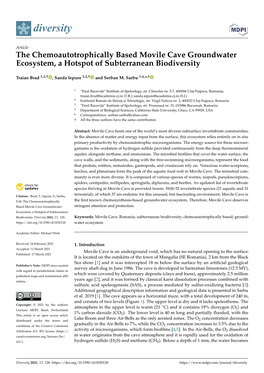 The Chemoautotrophically Based Movile Cave Groundwater Ecosystem, a Hotspot of Subterranean Biodiversity