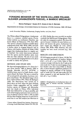 Foraging Behavior of the White-Collared Foliage- Gleaner (Anabazenops Fuscus), a Bamboo Specialist