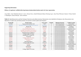 Supporting Information Efficacy of Copolymer Scaffolds Delivering