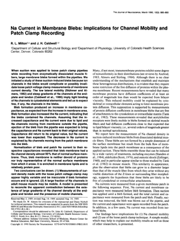 Na Current in Membrane Blebs: Implications for Channel Mobility and Patch Clamp Recording