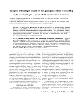 Description of Iption of Guyruitagen. Nov. and Two New Species