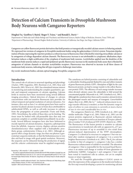 Detection of Calcium Transients Indrosophilamushroom Body