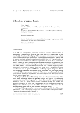 Wilson Loops in Large-N Theories