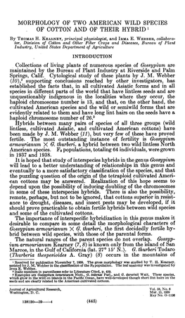 Morphology of Two American Wild Species of Cotton and of Their Hybrid '