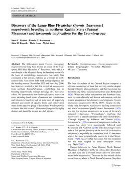 Discovery of the Large Blue Flycatcher Cyornis