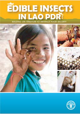 Edible Insects in Lao PDR: Building on Tradition to Enhance Food Security