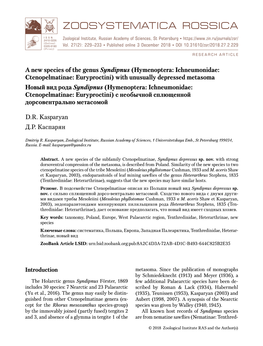 A New Species of the Genus Syndipnus (Hymenoptera