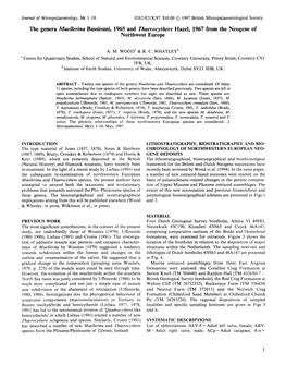 The Genera Muezzerina Bassiouni, 1965 and Thaerocythere Hazel, 1967 from the Neogene of Northwest Europe