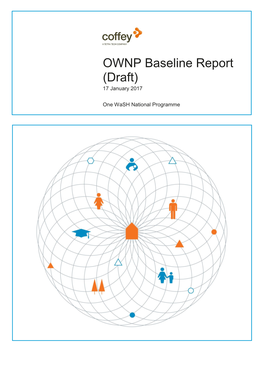 OWNP Baseline Report (Draft) 17 January 2017