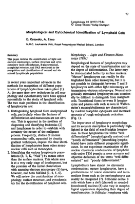 Morphological and Cytochemical Identification of Lymphoid Cells