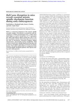 Bub3 Gene Disruption in Mice Reveals Essential Mitotic Spindle Checkpoint Function During Early Embryogenesis