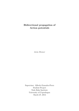 Bidirectional Propagation of Action Potentials