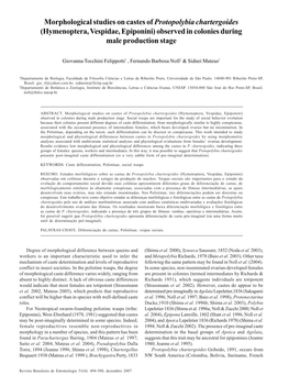 Morphological Studies on Castes of Protopolybia Chartergoides (Hymenoptera, Vespidae, Epiponini) Observed in Colonies During Male Production Stage