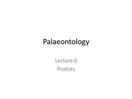 Palaeontology