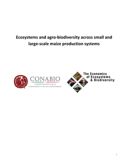 Ecosystems and Agro-Biodiversity Across Small and Large-Scale Maize Production Systems