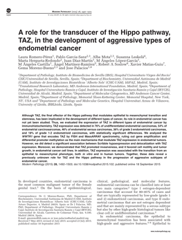 A Role for the Transducer of the Hippo Pathway, TAZ, in the Development