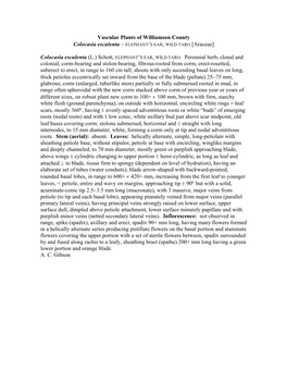 Vascular Plants of Williamson County Colocasia Esculenta − ELEPHANT's EAR, WILD TARO [Araceae] Colocasia Esculenta (L.) Scho