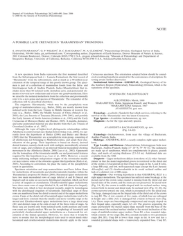 A Possible Late Cretaceous “Haramiyidan” from India