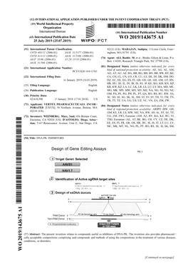 Design of Gene Editing Assays