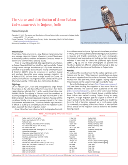 The Status and Distribution of Amur Falcon Falco Amurensis in Gujarat, India