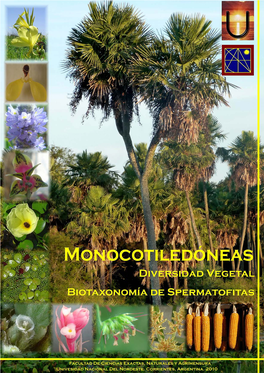 5- Monocotiledoneas.Pdf
